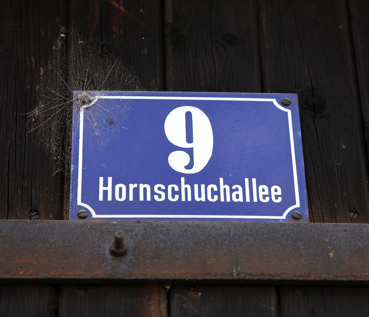 Hornschuchallee 9