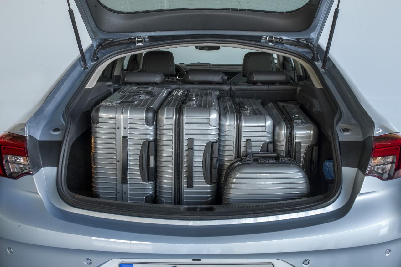 Flexorganizer opel insignia