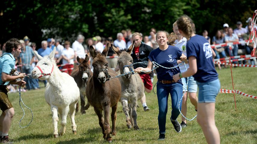 Eselrennen beim Frühlingsfest 2018