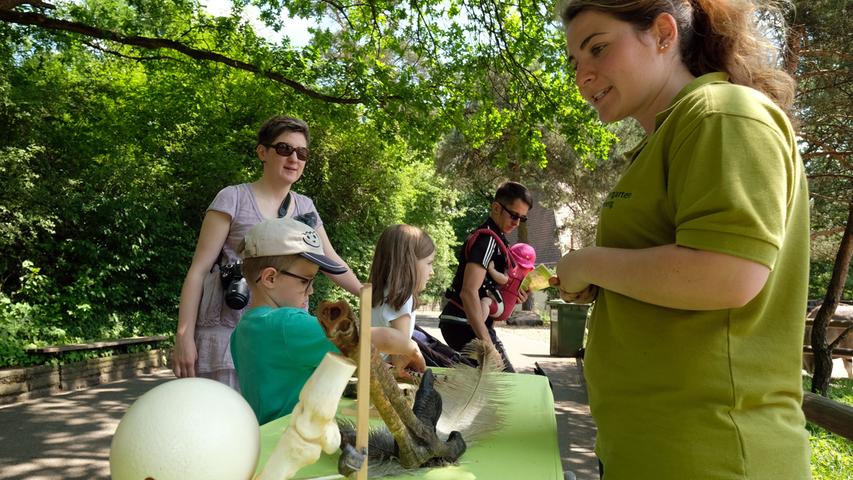 Affen und glückliche Kinder: So war das Frühlingsfest im Tiergarten