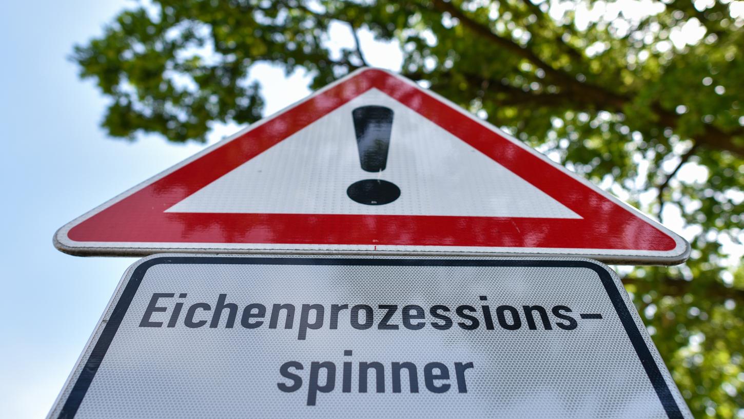 Vor den giftigen Brennhaaren des Eichenprozessionsspinners wird deutschlandweit gewarnt.