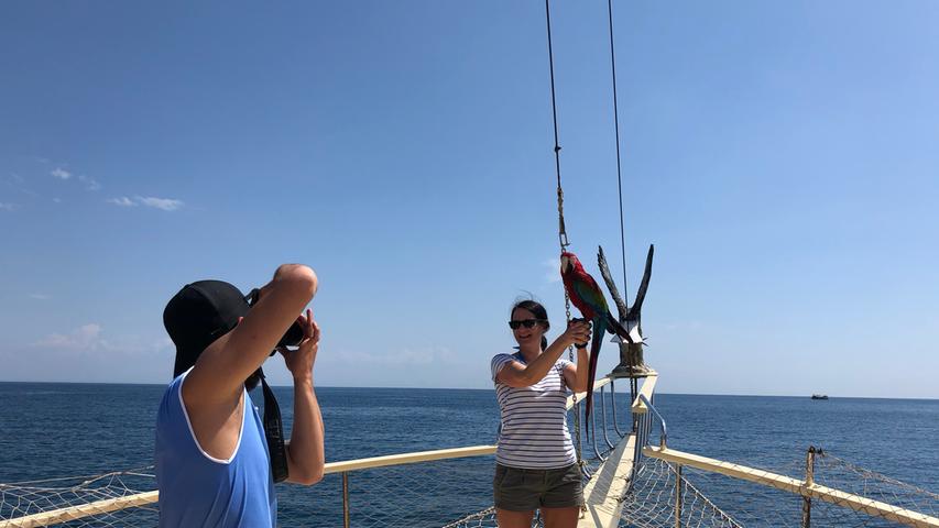 Der Schiffsausflug auf einem Gulet (einem traditionellen türkischen Motorbootsegler) beginnt mit einem außergewöhnlichen Fotoshooting, in dessen Mittelpunkt ein Papagei steht.