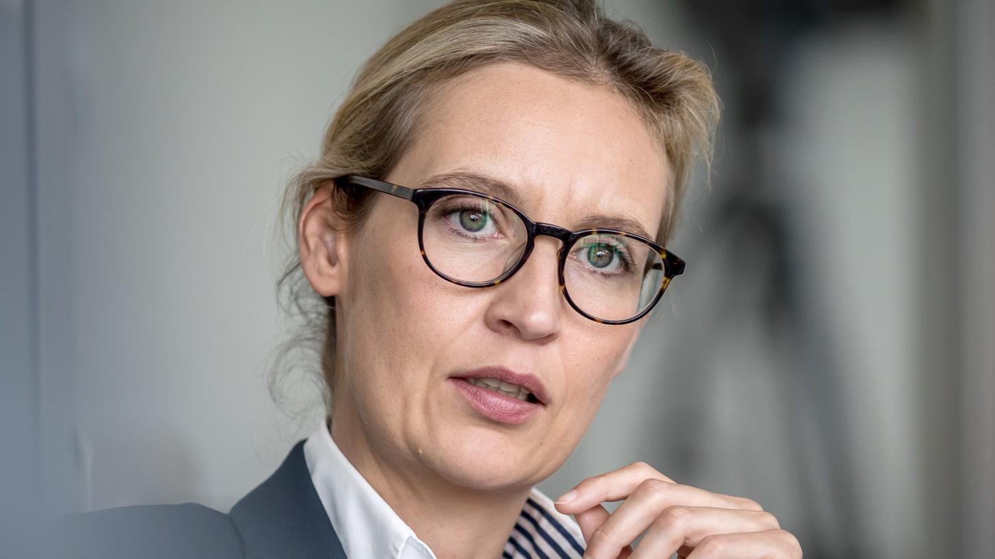 Die Vorsitzende der AfD-Bundestagsfraktion Alice Weidel steht stark in der Kritik.