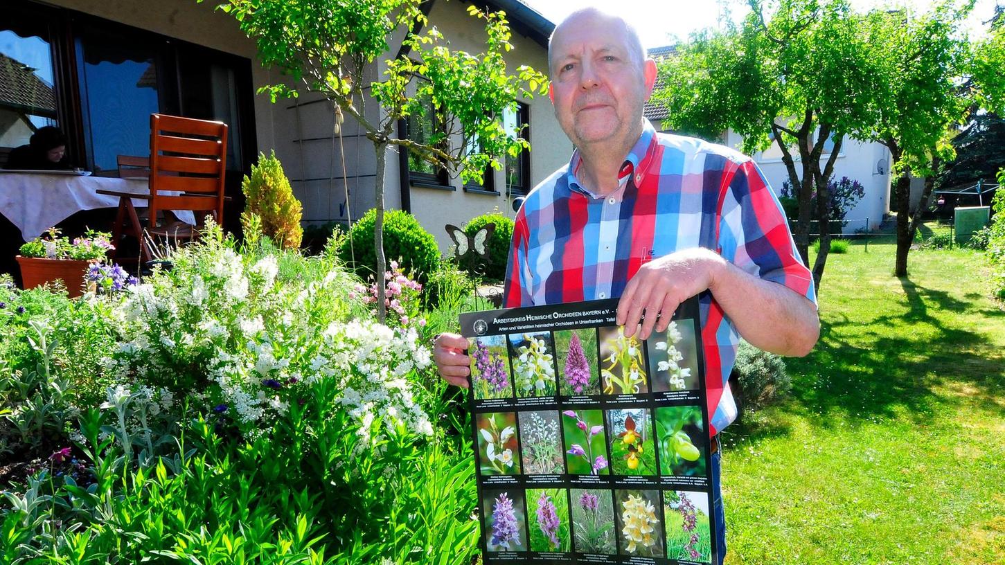 Experten schützen Orchideen in der Fränkischen