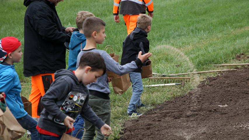 8. Earth Day Herzogenaurach "Natur pur"; bei Haundorf pflanzen Schulkinder der Grundschulen Herzogenaurach an...Foto: (c) RALF RÖDEL / NN (17.04.2018)