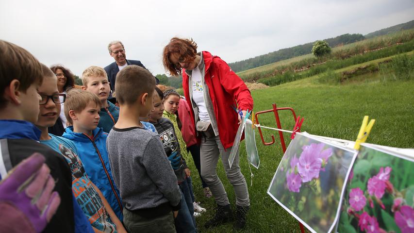 8. Earth Day Herzogenaurach "Natur pur"; bei Haundorf pflanzen Schulkinder der Grundschulen Herzogenaurach an...Foto: (c) RALF RÖDEL / NN (17.04.2018)