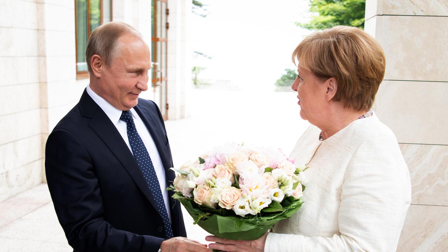 Weiße Rosen, tiefe Blicke: Putin empfängt Merkel in Sotschi