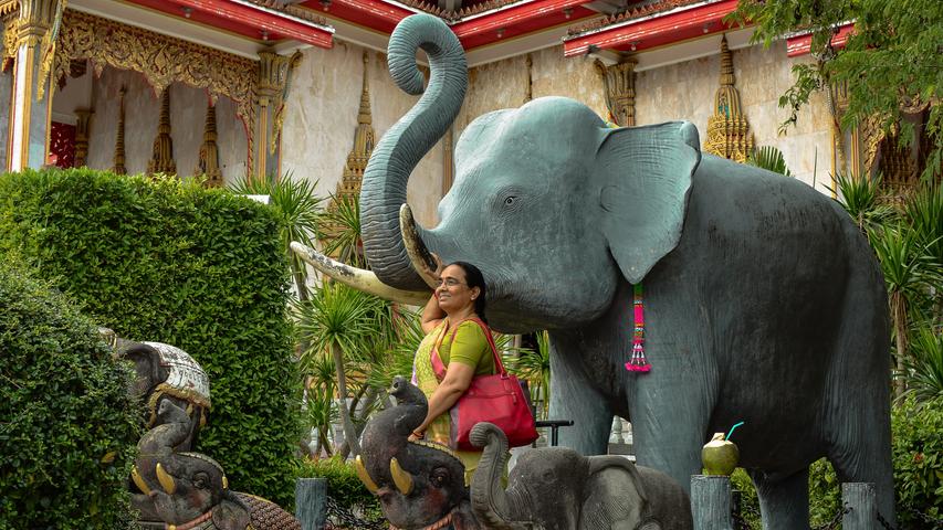 Der Chalong Tempel im Süden Phukets ist nicht nur bei Touristen beliebt, sondern auch ein Muss für Einheimische. Für thailändische Buddhisten symbolisiert der Elefant Glück, Majestät, Stärke, Fleiß und Intelligenz.