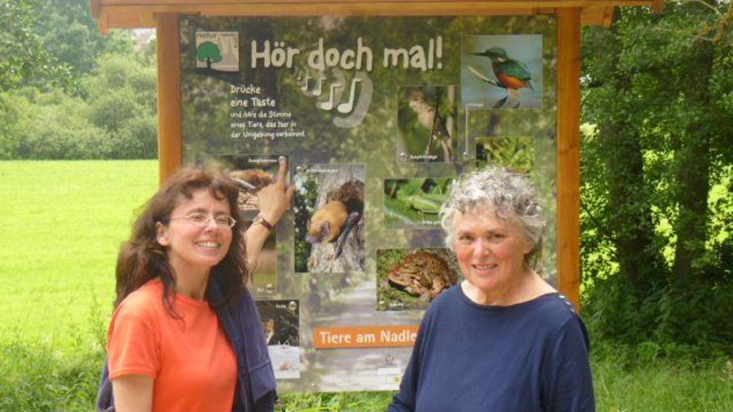 Schwabach: Den Naturspaziergang neu entdecken