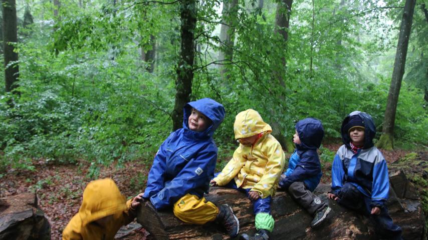 Ein Tag im Weißenburger Waldkindergarten