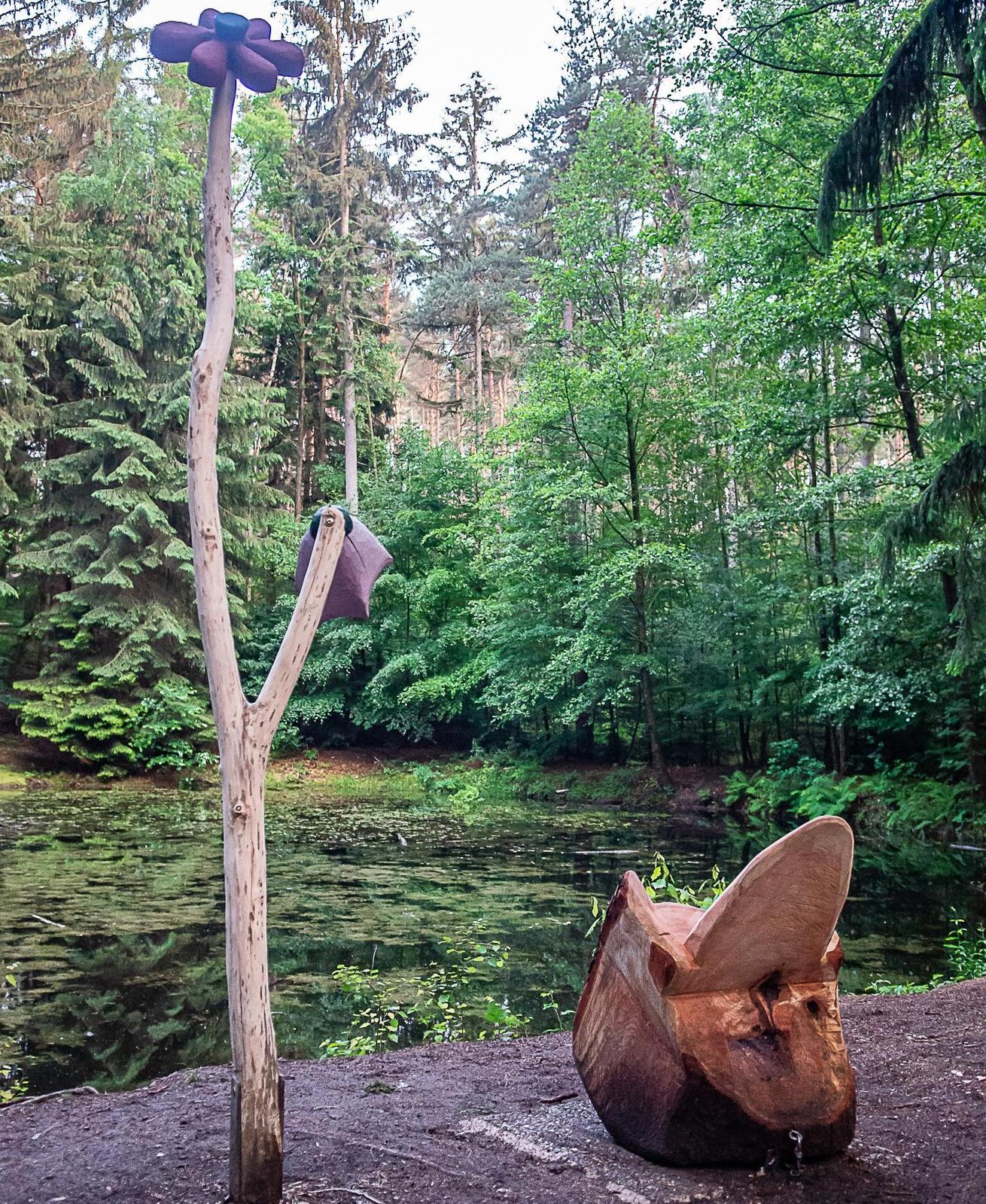 Wer Lust auf etwas Wildnis hat, kann sich ansehen, welche Landschaften der Biber am Farrnbach in der Mühltalstraße im Stadtteil Unterfarrnbach geschaffen hat oder einen Ausflug in den Fürther Stadtwald wagen. In der Nähe des Wildschweingeheges befinden sich dort die Silberweiher. Zwei kleine, von einer Quelle gespeiste Tümpel, die eine Vielzahl seltener Libellen anlocken und ein Paradies für Frösche und Teichmolche darstellen – und das obwohl das Wasser wegen der vielen Blätter und Nadeln, die hineinfallen, sehr sauer und modrig ist.