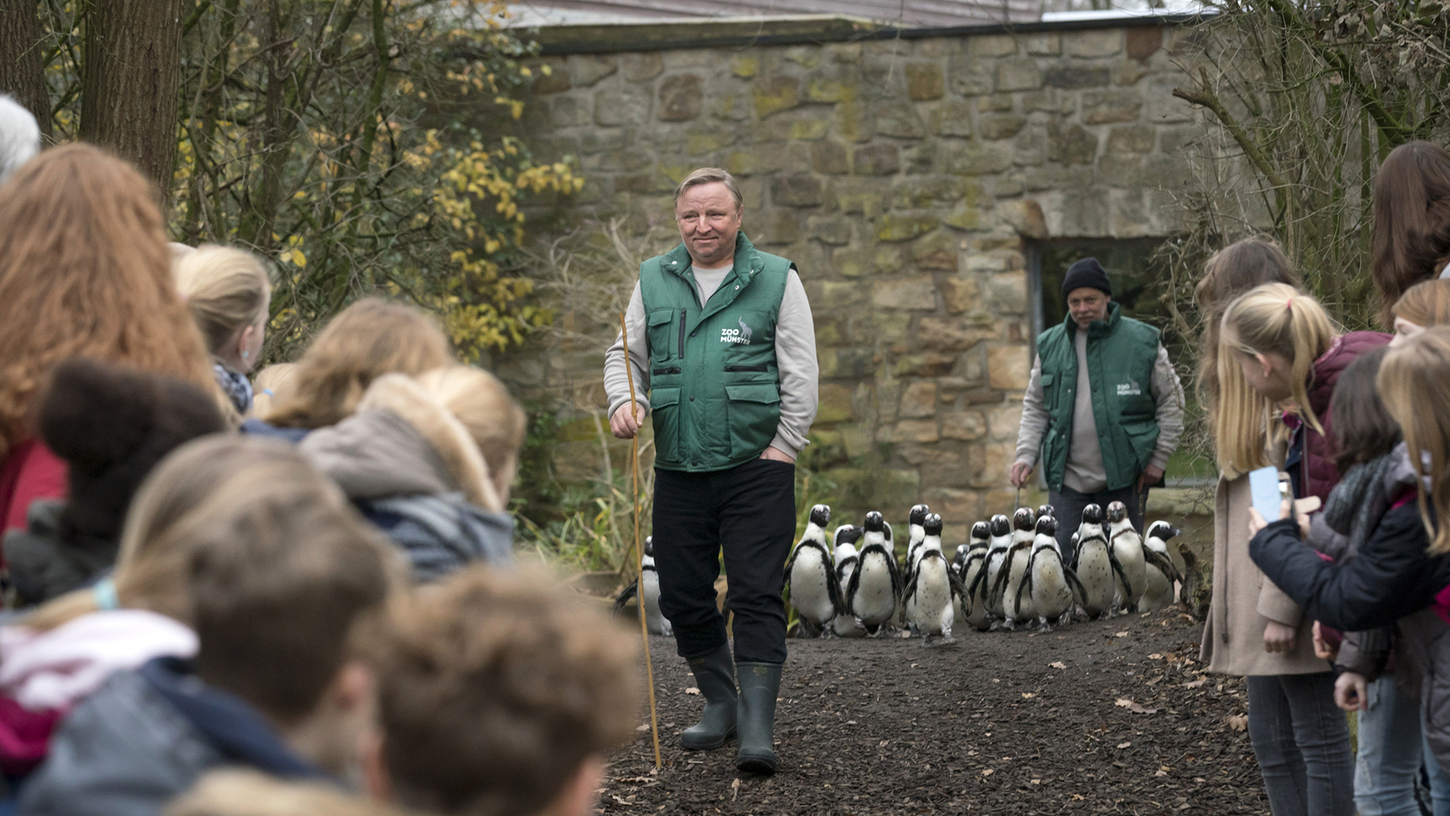 Undercover-Kommissar beim Pinguin-Walk: Kommissar Frank Thiel (Axel Prahl) ermittelt  im Zoo. Das Wohl der watschelnden Seevögel liegt ihm besonders am Herzen.
