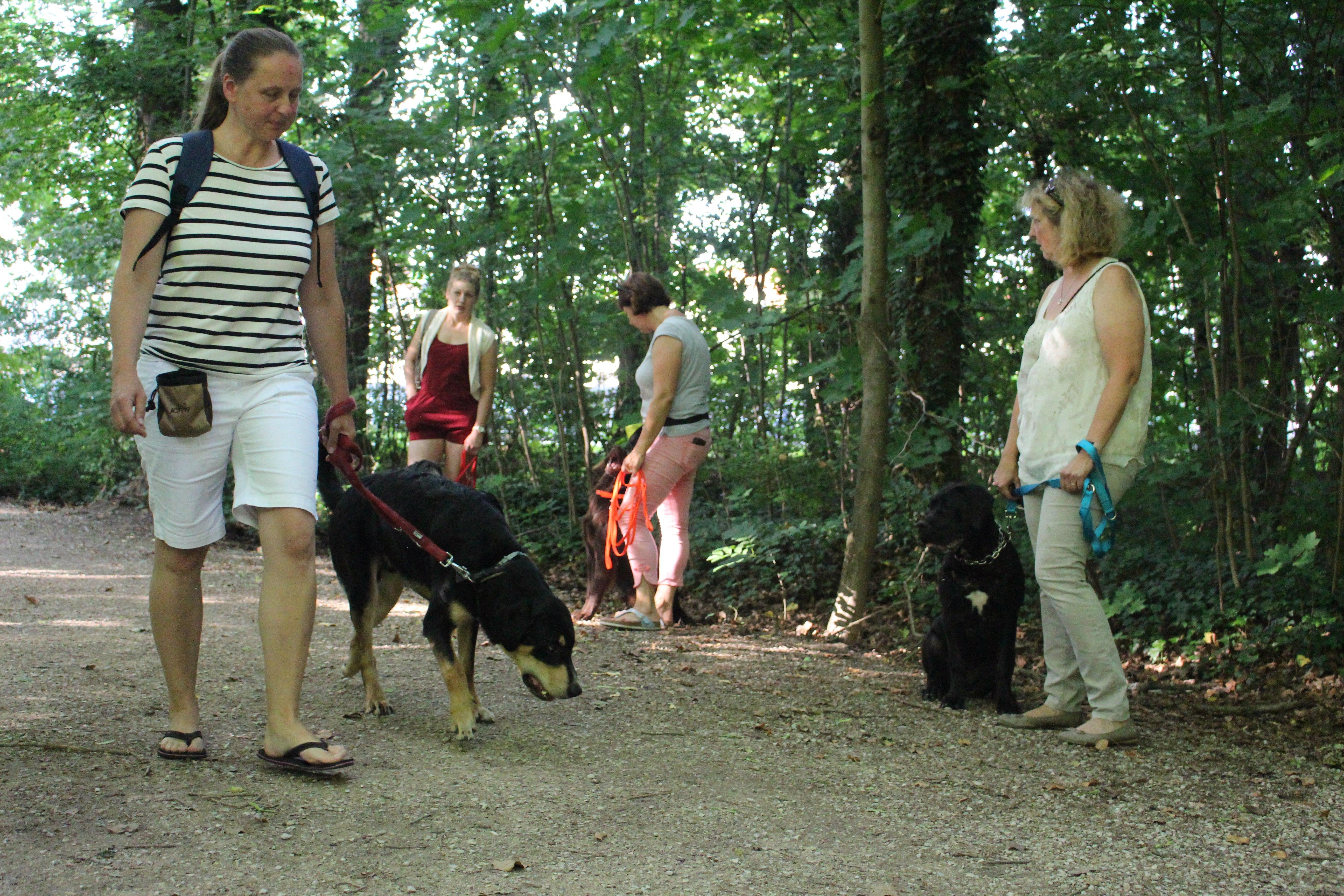 Seit 2005 gibt es die Hundeschule "Dog Ranch". Jeden Tag bietet Lugert drei Gehorsamskurse an, freitags ein mentales und ein sportliches Training, das sogenannte Agility. Samstags finden Spielstunden statt.