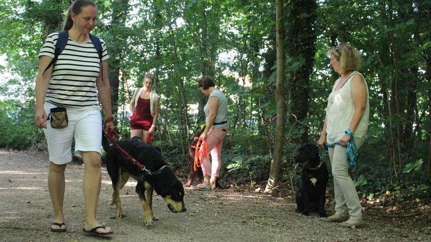 Seit 2005 gibt es die Hundeschule "Dog Ranch". Jeden Tag bietet Lugert drei Gehorsamskurse an, freitags ein mentales und ein sportliches Training, das sogenannte Agility. Samstags finden Spielstunden statt.