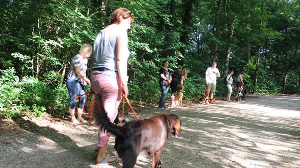 Es kann Hunden auch abtrainiert werden, wenn sie an anderen Menschen hochspringen. Man dürfe ihm dann keine Aufmerksamkeit schenken. „Das ist teilweise schwierig umzusetzen, ...