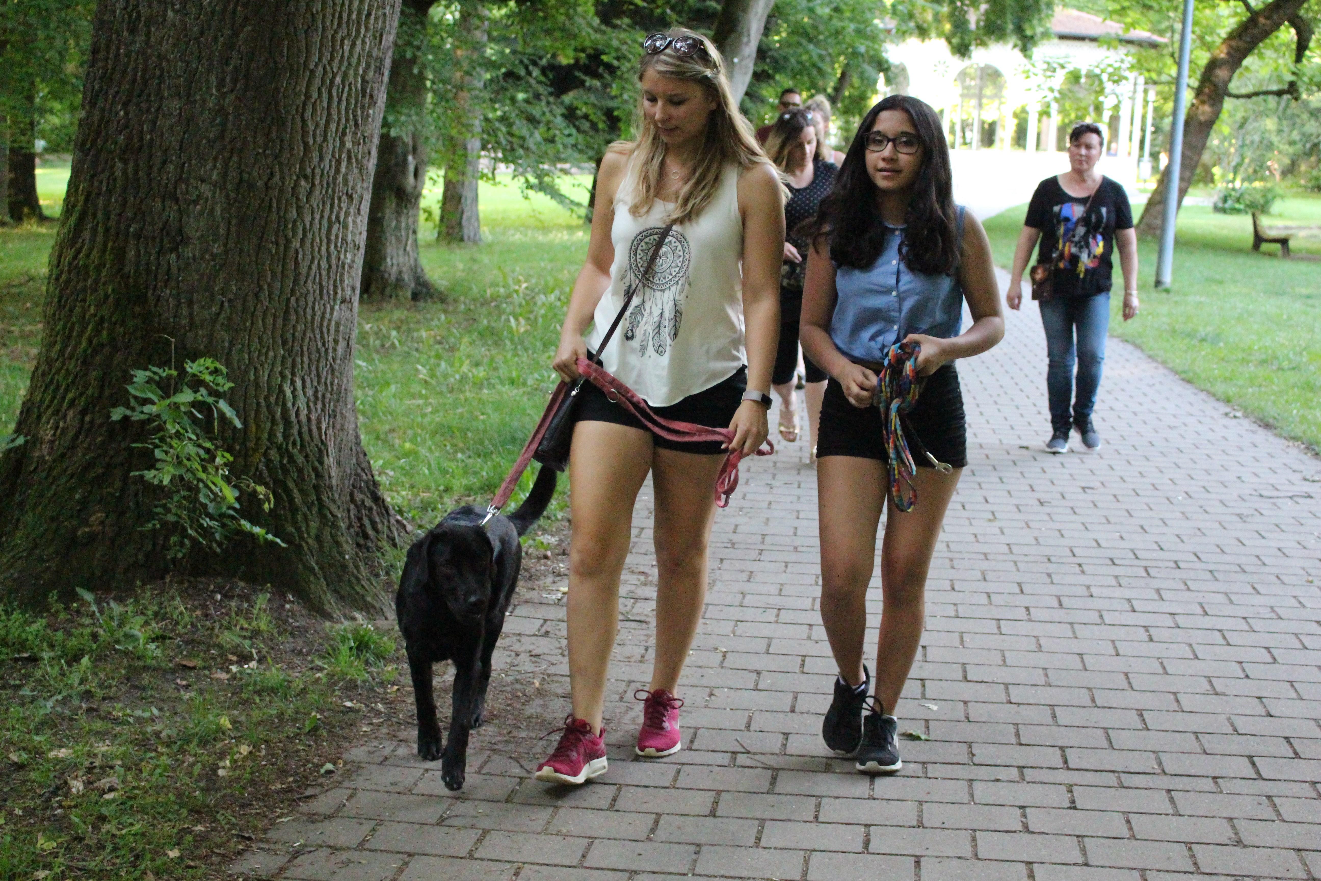 Die Anforderungen an Hundebesitzer und ihre Vierbeiner nehmen laut Lugert zu...
