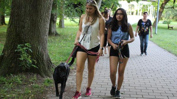 Die Anforderungen an Hundebesitzer und ihre Vierbeiner nehmen laut Lugert zu...