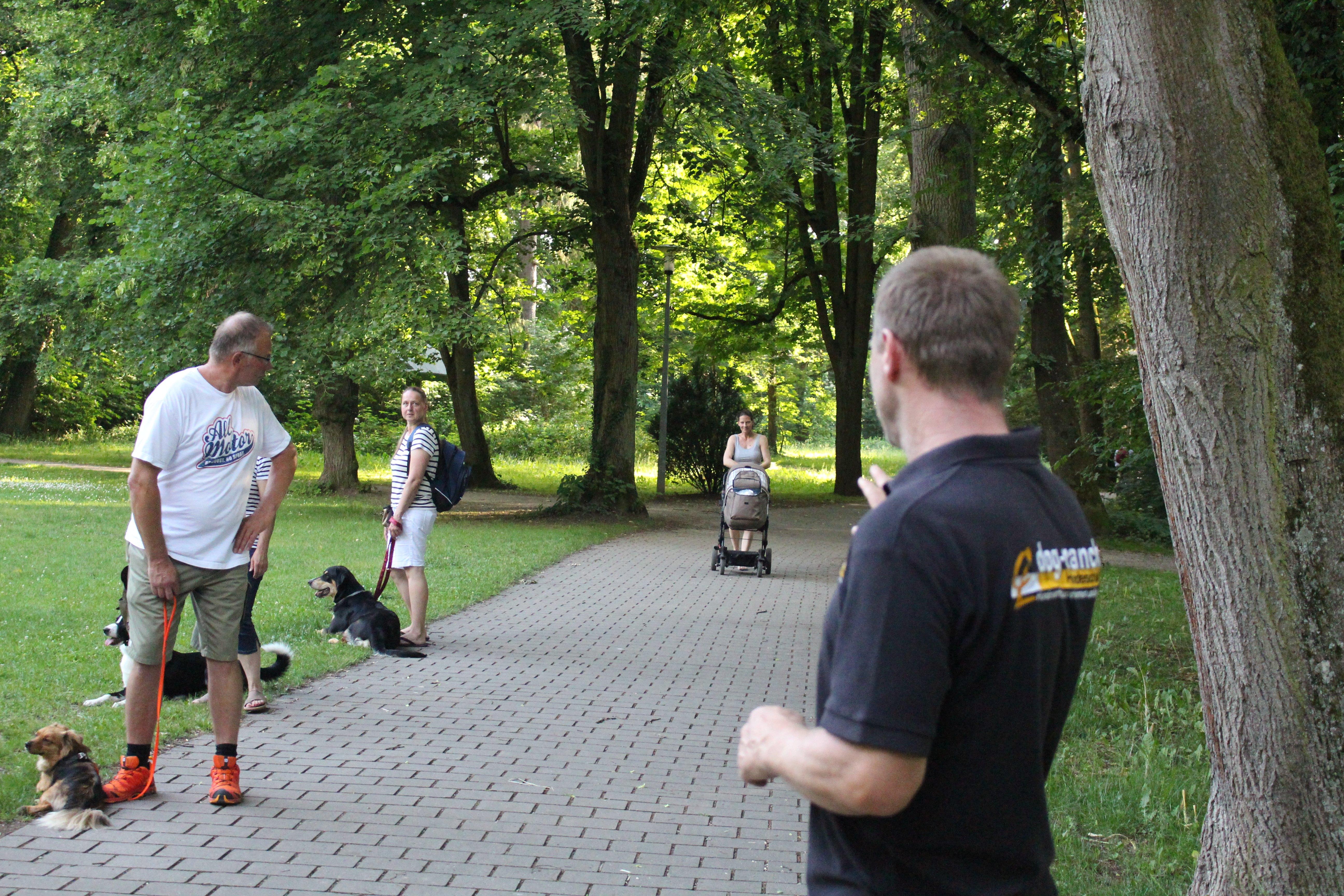Wenn ein Hund Probleme mit Gegenständen wie einem Staubsauger, einem Kinderwagen oder mit Fahrradfahrern hat, ...