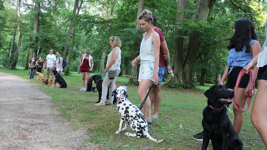 Etwa zehn Hunde und ihre Besitzer sind zum Hundetraining in den Stadtpark in Schwabach gekommen. Der Schwabacher Hundetrainer Christian Lugert von der Hundeschule "Dog Ranch" verrät, ... 