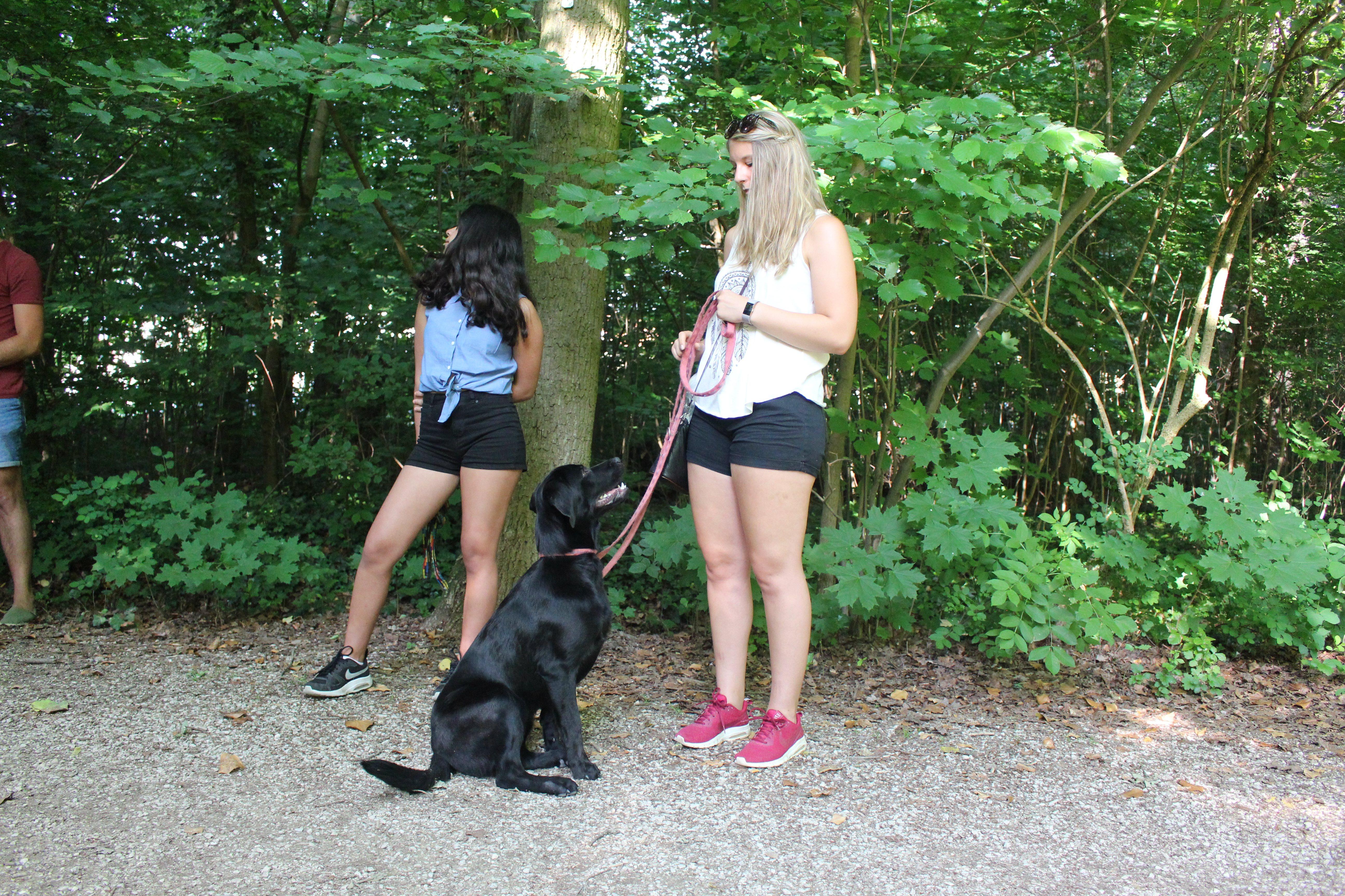 Ganz wichtig: Blickkontakt. "Hunde können sich nur auf eine Sache konzentrieren. Wenn sie euch nicht aufmerksam angucken, wisst ihr, sie sind gerade auf etwas anderes fokussiert und nehmen euer Kommando gar nicht wahr", erläutert Lugert.