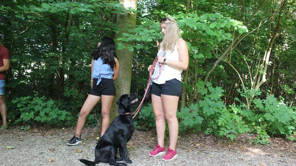 Ganz wichtig: Blickkontakt. "Hunde können sich nur auf eine Sache konzentrieren. Wenn sie euch nicht aufmerksam angucken, wisst ihr, sie sind gerade auf etwas anderes fokussiert und nehmen euer Kommando gar nicht wahr", erläutert Lugert.