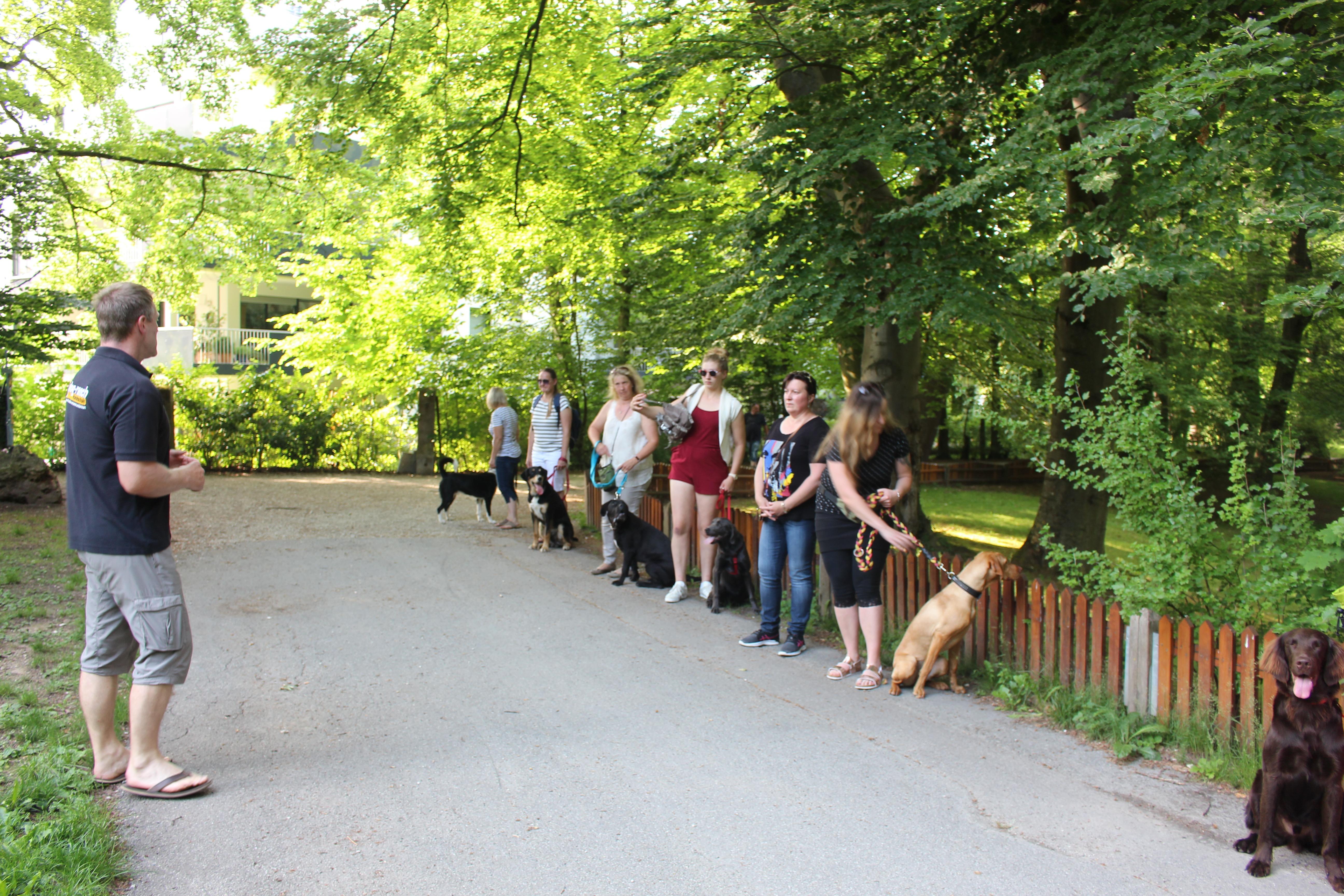 … weil die Omas oder der Onkel genau das tun, darauf reagieren, dass der Hund zu ihnen kommt und zum Beispiel mit hoher Stimme sprechen“, so Lugert. Besser: dem Hund keine Aufmerksamkeit schenken. Sonst lernt er: Ich werde belohnt, wenn ich hochspringe.