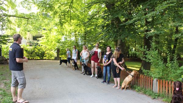 … weil die Omas oder der Onkel genau das tun, darauf reagieren, dass der Hund zu ihnen kommt und zum Beispiel mit hoher Stimme sprechen“, so Lugert. Besser: dem Hund keine Aufmerksamkeit schenken. Sonst lernt er: Ich werde belohnt, wenn ich hochspringe.