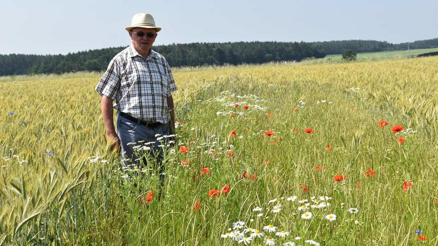 Wer wissen will, welche Feldfrüchte in Bayern am öftesten angebaut werden, muss das Bayerische Landesamt für Statistik konsultieren. Wir haben die häufigsten davon in eine Rangliste gepackt. Auf Rang 10 befindet sich eine für viele relativ unbekannte Getreidesorte, die aber dennoch im Jahr 2019 auf immerhin 64.449 Hektar angebaut wurde: die Triticale. Sie ist eine Kreuzung aus Roggen und Weizen, wird vor allem in klimatisch ungünstigen Regionen angebaut und als Futtergetreide genutzt. 2019 wurden in Bayern 410.000 Tonnen geerntet.