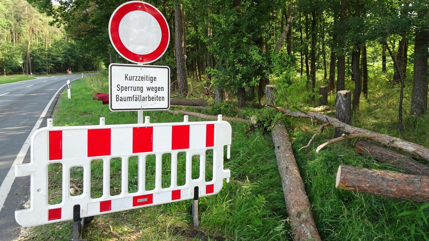 Sicherheitsgründe: Kreis ließ Bäume fällen
