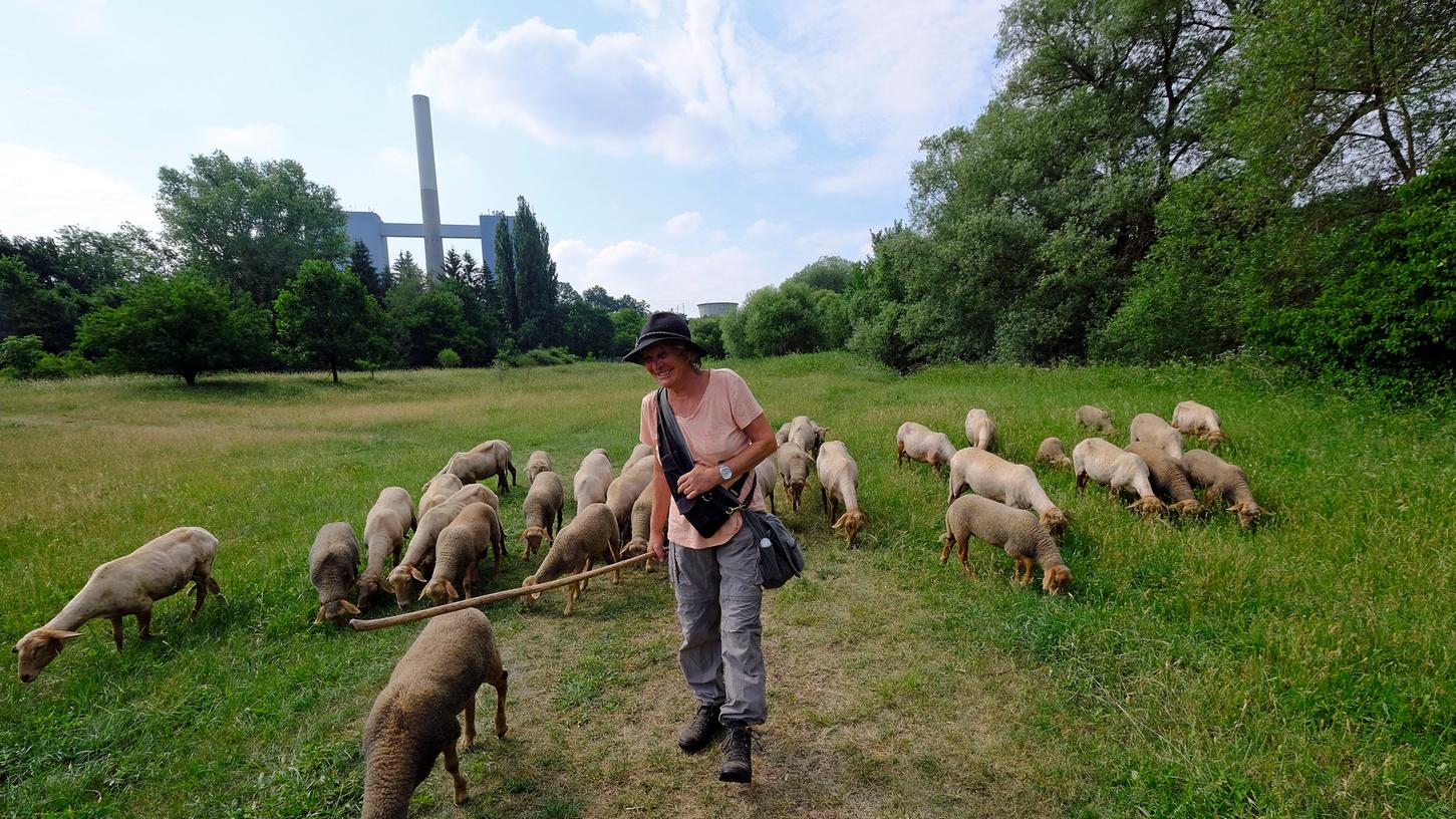 Schäferin Heidi Stafflinger ist mit ihrer Herde täglich auf der Weide.