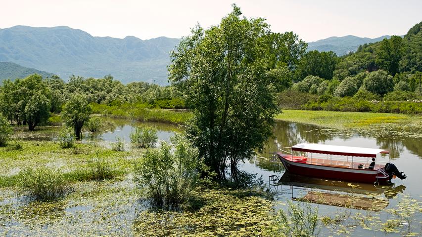 An den Ufern dieses Naturparadieses stehen unter anderem unzählige Lorbeer- und Kastianenbäume, und das Wasser ist an vielen Stellen dicht von Seerosen bedeckt.