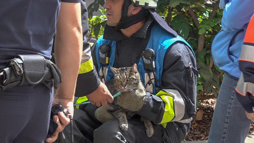 Feuerwehr rettet zwei Katzen aus brennender Wohnung in Nürnberg