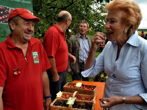 Welche Kirschensorte schmeckt eigentlich wie? Bei der Kirschkerwa in Kalchreuth können die Besucher sich durchprobieren.