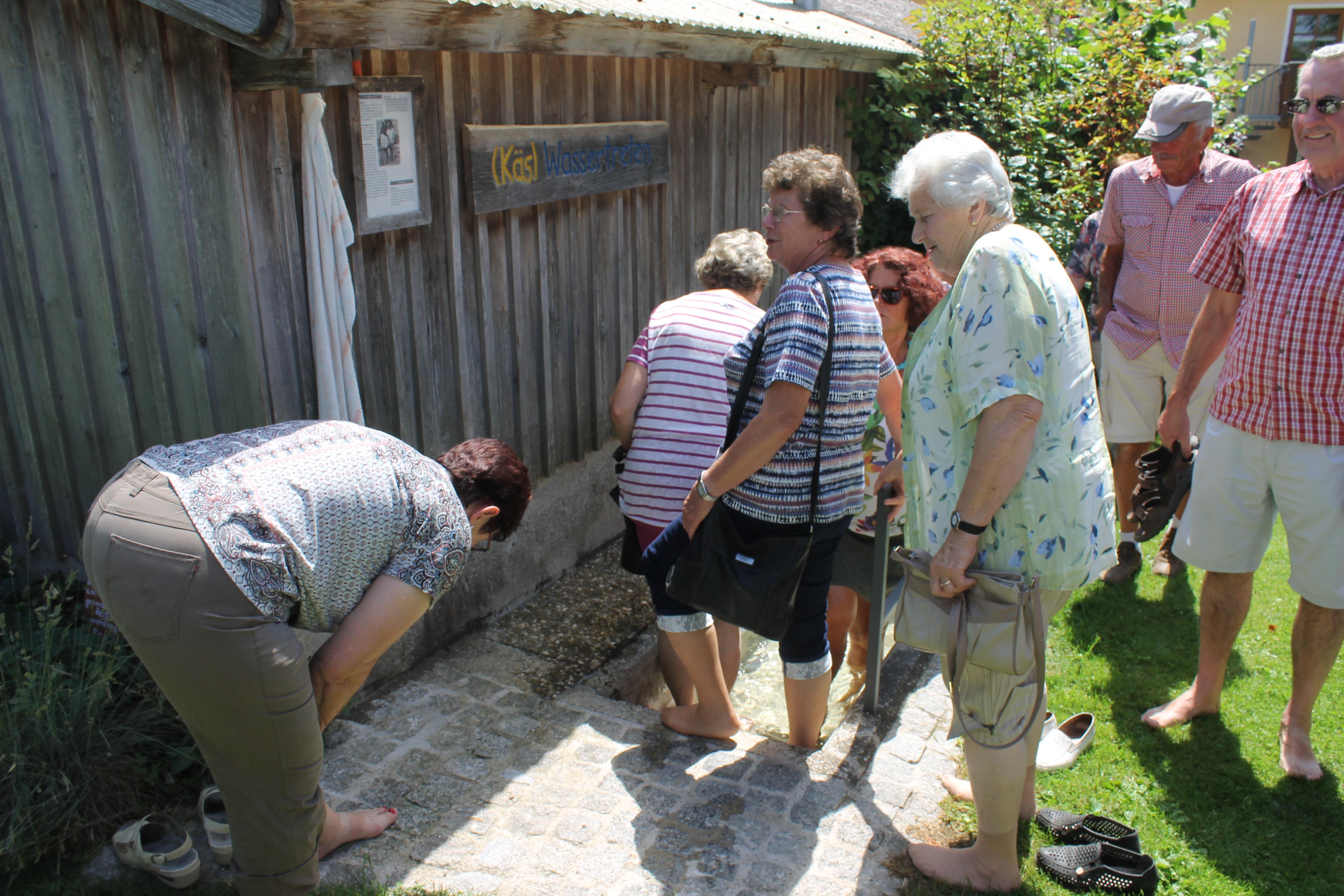 Der Obst- und Gartenbauverein Wettelsheim hat mit 40 Mitgliedern seinen jährlichen Vereinsausflug unternommen. Zunächst ging es ins Limeseum und in den Römerpark nach Ruffenhofen. Mittags ging es in ein Wirtshaus mit rustikaler Einrichtung in Fürnheim. Das Hauptziel war "Sonjas Gartenreich" in Langensteinbach (unser Foto). Dort gab es eine informative und aufschlussreiche Führung in das Blütenmeer. Zum Abschluss besichtigten die Mitglieder noch die Dinkelsbühler Altstadt.