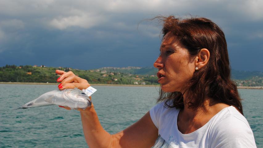 Managerin Irena Fonda führt das von ihren Großeltern gegründete Geschäft fort. Ihre Fische haben rund acht Monate Zeit zum wachsen, ehe sie auf Tellern im Restaurant landen. Wert legt Fonda auf die Frische ihrer Produkte.