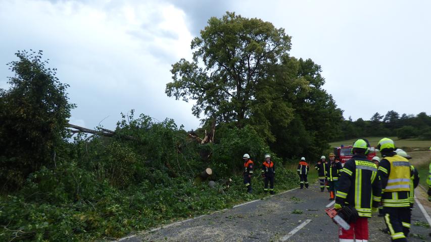 Umgestürzter Baum sorgt in Waischenfeld für Stromausfall