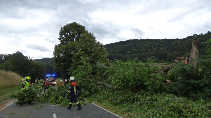 Umgestürzter Baum sorgt in Waischenfeld für Stromausfall