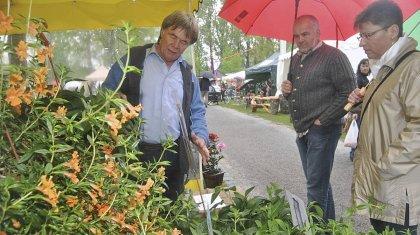 HobbyGärtner stehen auch auf exotische Blumen