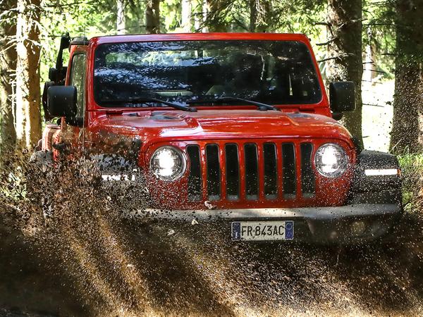 Jeep Wrangler: Unerschrocken im Gelände