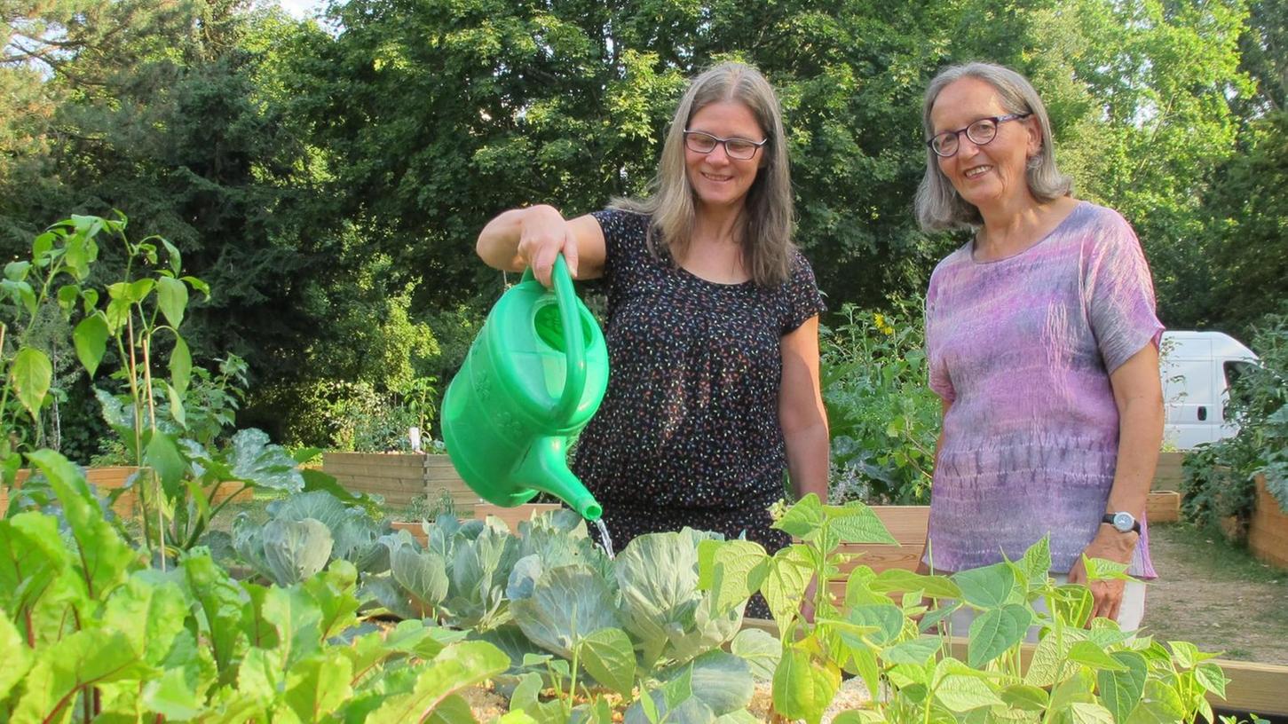 Gemüse für alle: Fürth hat einen neuen Gemeinschaftsgarten
