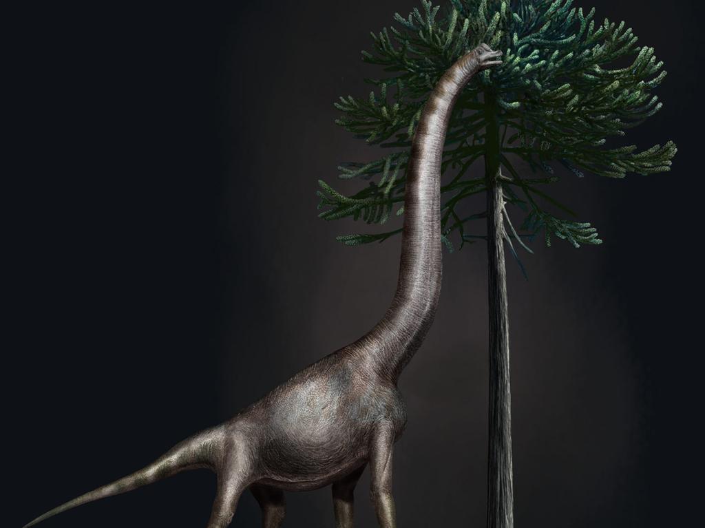 Zeiten dinosaurier aller der größte Größter Flugsaurier
