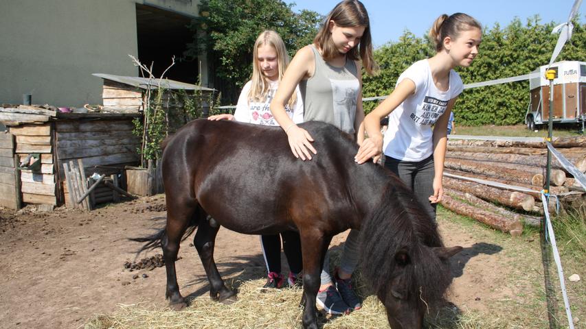 Projekttag: Pony und Flugzeug begeistern Hilpoltsteiner Schüler