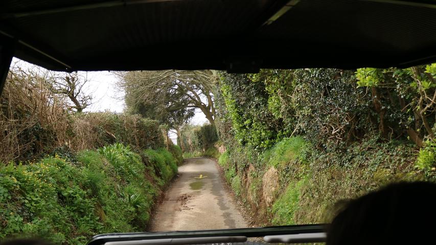 Viele Straßen auf Guernsey sind so eng, dass man gut rückwärtsfahren können muss, wenn jemand entgegen kommt.