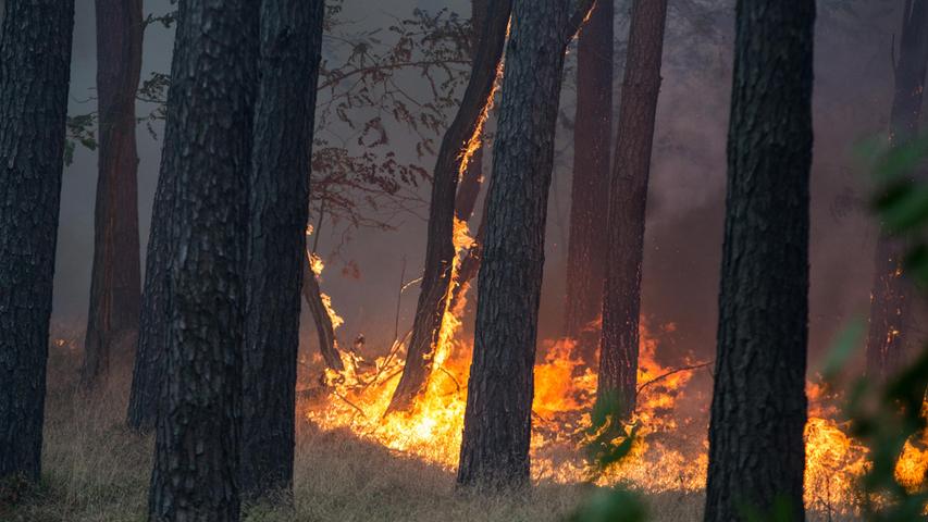 Bilder: Hier brennen 90 Hektar Wald in Brandenburg