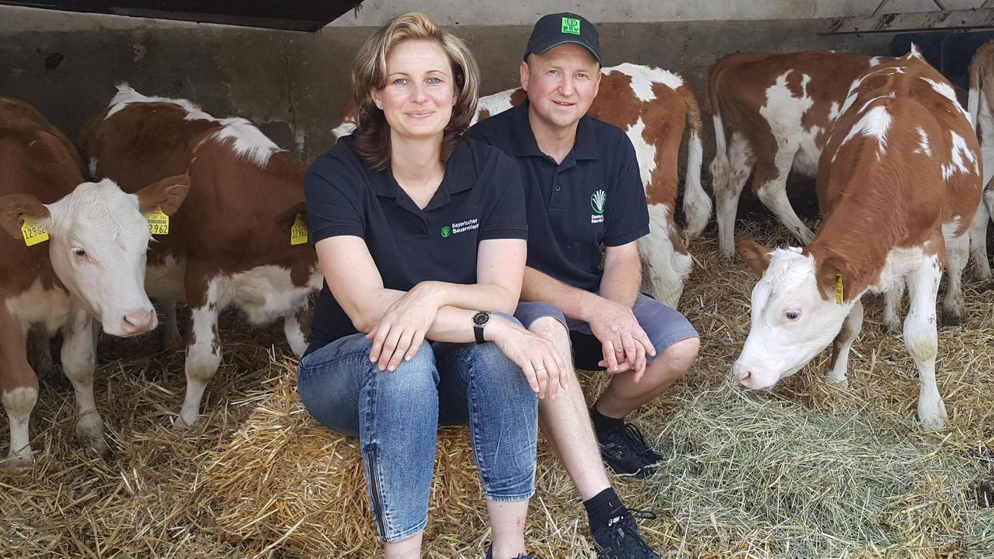 Dürre, Hitze, wenig Futter: Fränkische Milchbauern in Not