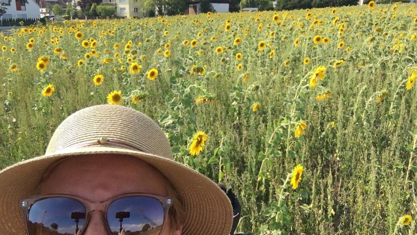 Kurz vor dem Ziel kommt Eva Sünderhauf noch an diesem wunderschönen Sonnenblumenfeld vorbei. Was für ein toller Tagesausklang.