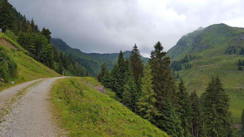 Auf sanften Wegen geht es zurück ins Tal Richtung Aschau.