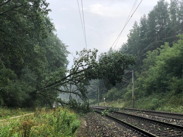 Der Baum kippte so ungünstig auf die Gleise, dass die Strecke komplett blockiert war.