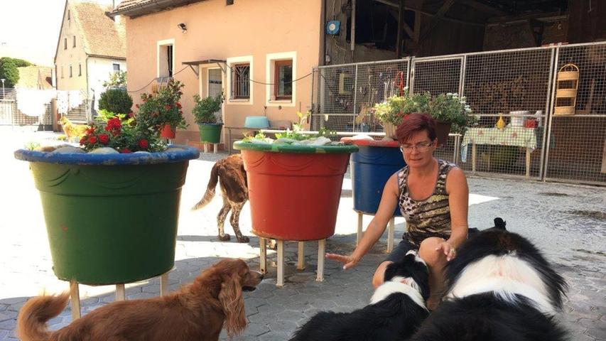 Ihre Wanderung nach Uehlfeld führt sie an Biggis Tierpension vorbei. Tierheilpraktikerin Birgit Weidacher hat aktuell 16 Hunde bei sich zu Gast. "Bei 25 ist Schluss", sagt die 51-Jährige.