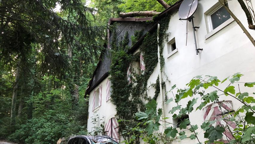 Forchheim: Morscher Baum bricht ab und fällt auf Auto